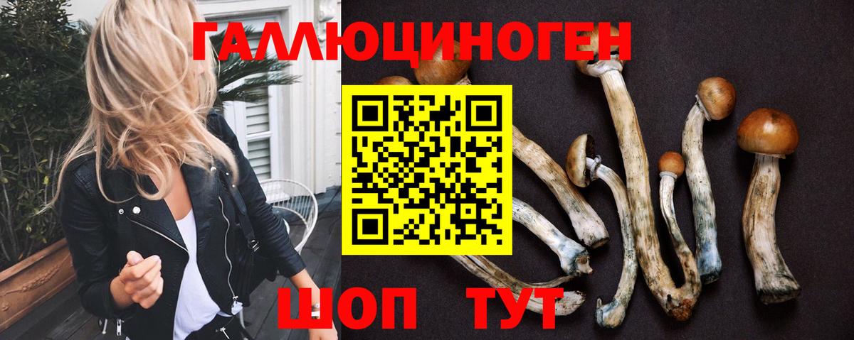 Партизанск  Галлюциногенные грибы Cubensis  Псилоцибиновые грибы Psilocybe  закладка  Вход с VPN 